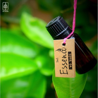 Tinh dầu Vỏ Bưởi (10ml) - Esseno (VietHerb)