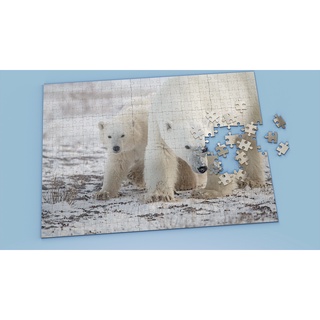 Tranh ghép hình Animal - Tranh ghép hình POLAR BEAR - Mẫu 5 - Nhận in hình tranh ghép theo yêu cầu