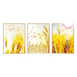 TRANH ĐÍNH ĐÁ Bộ 3 cây lúa Ailuo AL72119 |180x80cm| - Chưa đính