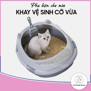 Khay vệ sinh thành cao cho mèo, chậu vệ sinh cao cấp đẹp (TẶNG KÈM XẺNG) | Nhà Mèo Ngọt