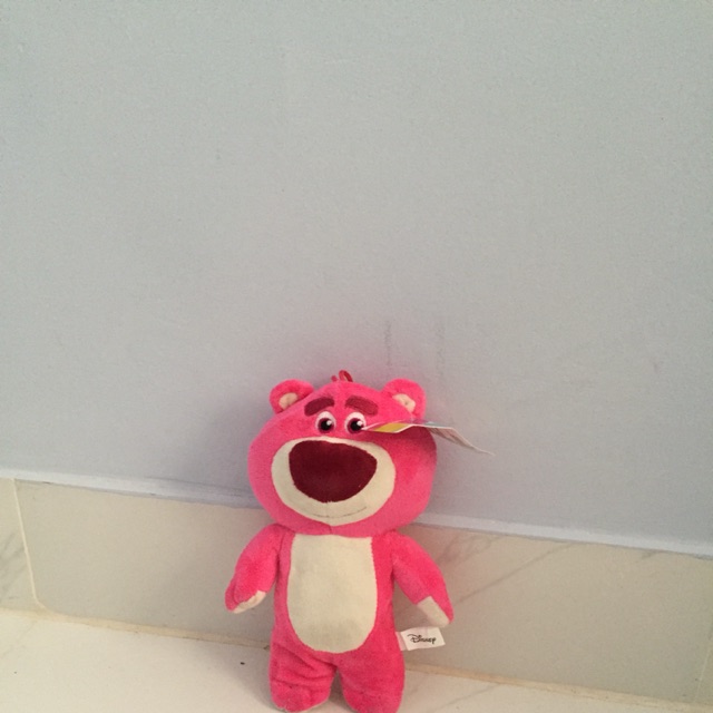 Gấu của Thảo Đỗ