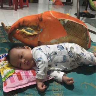 ĐỒ CHƠI NHỒI BÔNG HÌNH CÀNG CUA 3D DỄ THƯƠNG CHO BÉ