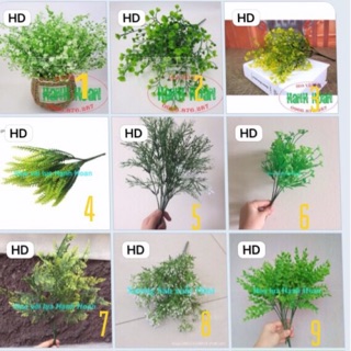 Chùm cỏ điểm trang trí các loại - Cây hoa giả