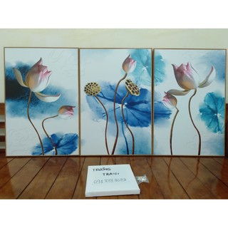 Tranh canvas khung cao cấp 40x60cm x 3 tranh VIP mới mua được - Sen 1
