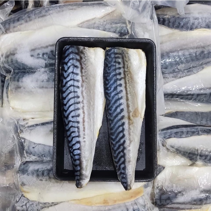 CÁ THU NHẬT PHILE- 1kg (hỏa tốc)