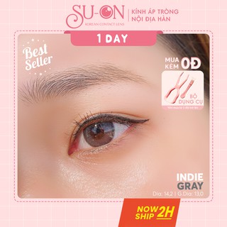[Video thật] Lens 1 ngày Ann365 INDIE GRAY áp tròng 14,2mm, xám nâu Hàn Quốc, siêu êm đeo 24h