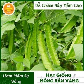 Hạt giống Đậu Rồng ( Gói 10 Gram ) - Nông Sản Vàng