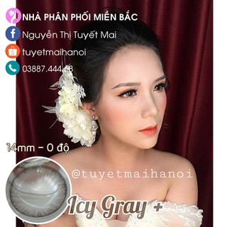 [ Ảnh Thật ] Lens Cận Màu Xám Trong Veo Không Giãn Icy Gray 14mm - Kính Áp Tròng Hàn Quốc Vassen Sexy Me