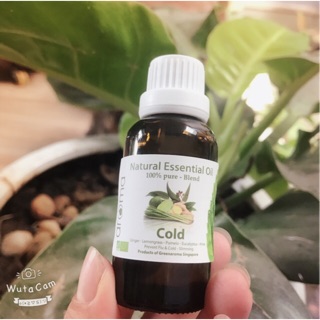 TINH DẦU XÔNG SẢ, GỪNG, BƯỞI (COLD), NHẬP KHẨU PHÁP