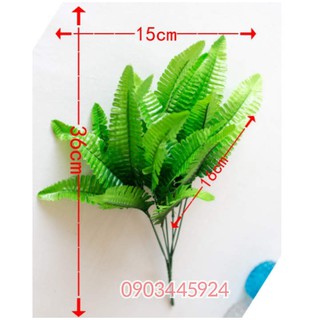 Cây Dương Xỉ nhựa PVC trang trí nhà cửa gắn tường thảm cỏ