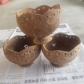 Chậu trồng cây gáo dừa