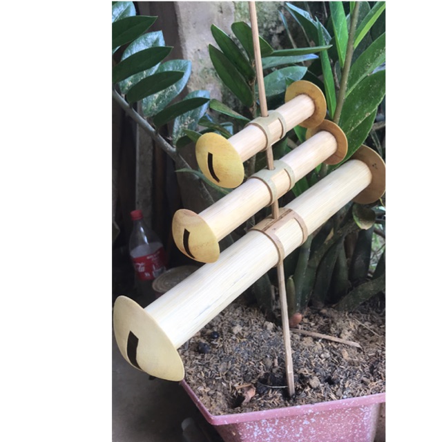 Sáo diều d25
