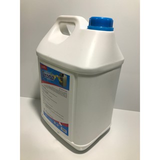 Nước tẩy đa năng ECOGY 10 kg chuyên dụng cho khách sạn, nhà nghỉ, tiệm giặt là