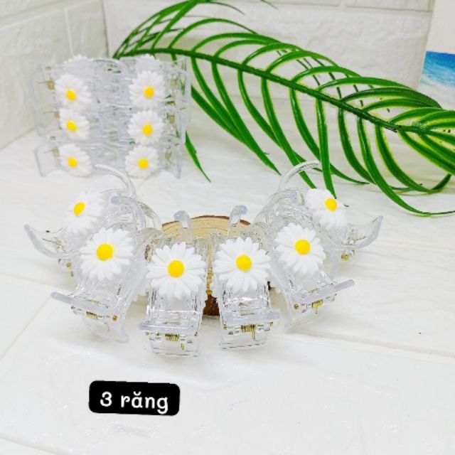Gấp trong hoa cuc 3rang