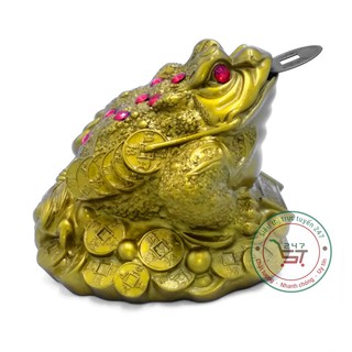 Tượng cóc 3 chân ngậm tiền mạ đồng 10 cm