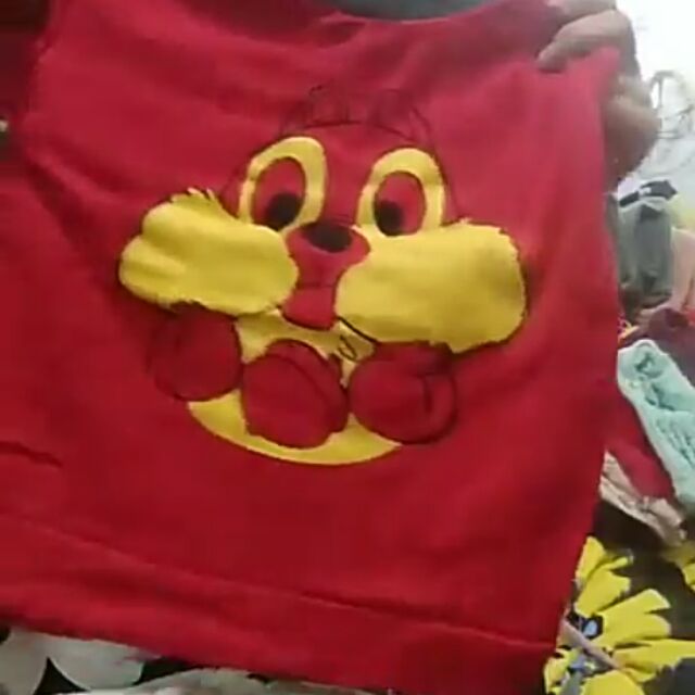 Bộ nỉ