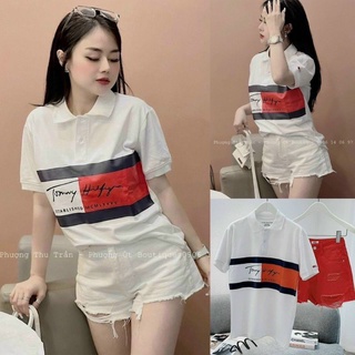 Áo phông polo tommy in ngang ngực