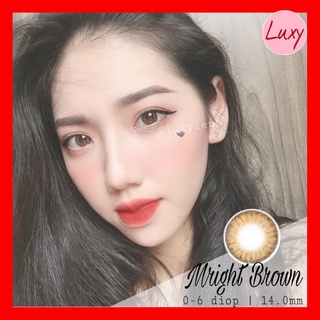 [Ảnh Thật] Lens Mright Brown 0 - 6 Độ Lens Hàn Nhập Khẩu Chính Hãng - LUXY LENS