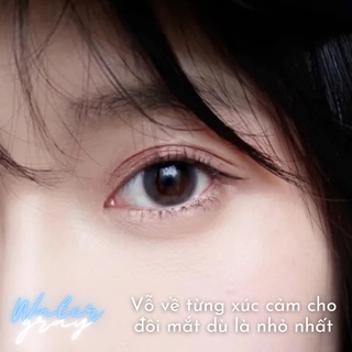 Lens màu xám kèm khay dụng cụ đeo Water Gray - Kính áp tròng dành cho mắt - Qadlenses