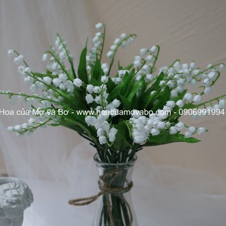 Hoa Chuông, Linh Lan Lụa Cao Cấp Merber Loại 1 Cành 2 Nhánh - Bông Hoa Khô Decor Trang Trí Nhà, Phòng Khách, Chụp Ảnh