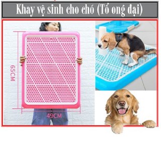 HN- Khay vệ sinh cho chó lớn và nhỏ (màu ngẫu nhiên)Tặng 3 tấm tã giấy - khay dạng dẹt đi vệ sinh cho chó đực và chó cái