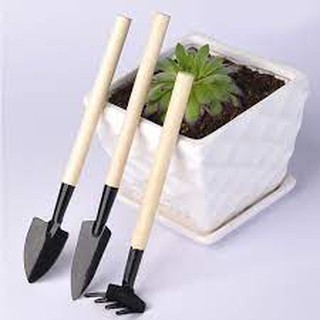 Bộ ba món dụng cụ làm vườn mini xiẻng, quốc, răng cào tiện lợi, trồng cây sen đá xương rồng cây để bàn