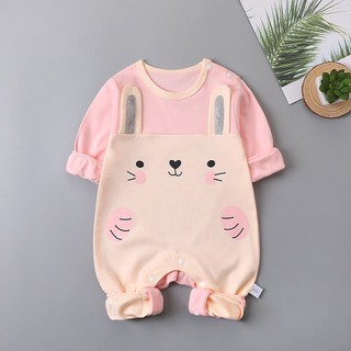 BD2020 Bodysuit Body cotton dài tay