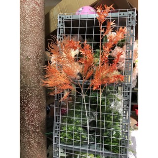 Điểm đuôi công - điểm phong nhựa màu cam