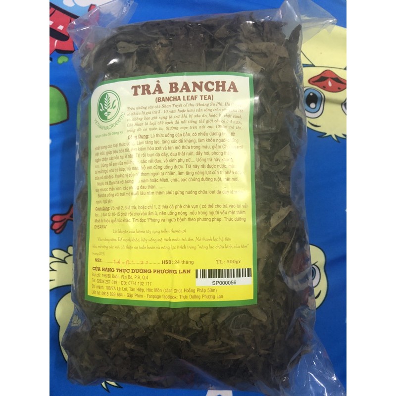 trà bancha