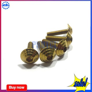 Ốc Inox 5Li20 Đầu Dù - Vàng, Titan (Giá Bán 1 Con)