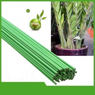 1kg Que cắm lan, cây cảnh lõi thép bọc nhựa 1m