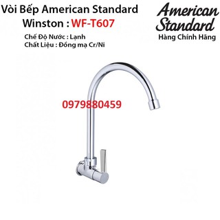 Vòi rửa bát 1 đường lạnh âm tường American Standard FFAST607 WF-T607