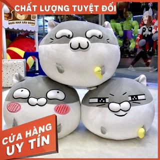 MÈO AMI MẶT TRÒN NGỘ NGHĨNH BÔNG MỀM MẠI