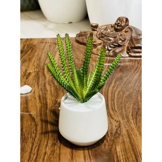 Xương rồng giả trang trí - 16 nhánh