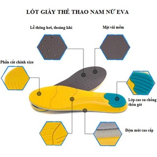 [Có sẵn] Lót giày thể thao nam nữ EVA 3 lớp cao cấp, êm chân, thấm hút mồ hôi – PK23
