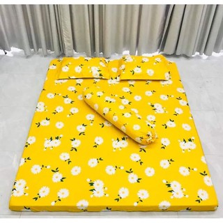 Bộ Ga Giường Và 2 Vỏ Gối Poly Hàn Quốc M2/M6/M8