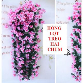 Chùm Hoa Thủy Tiên Rủ Sịn Dày Dặn Có Video