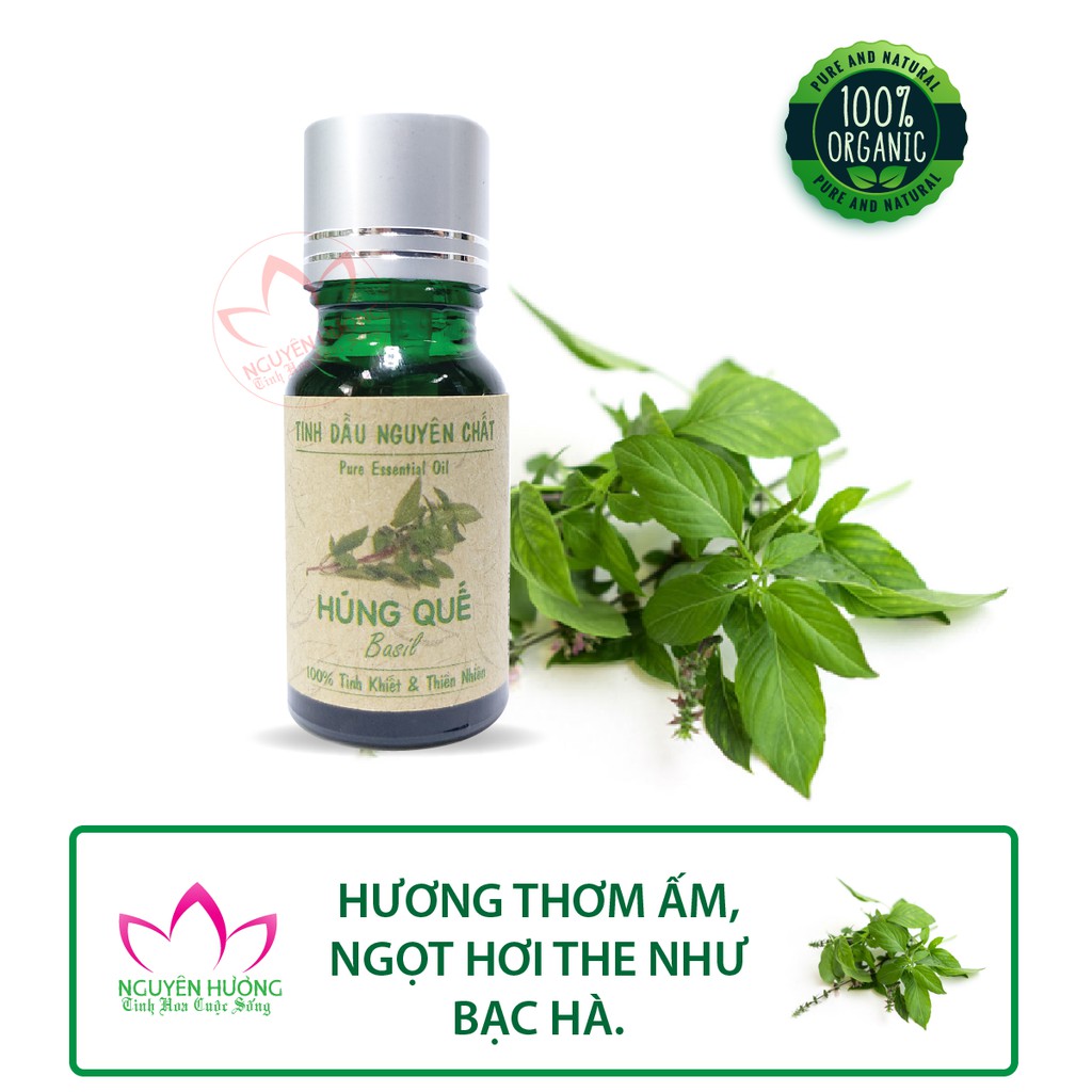 Tinh dầu Húng Quế