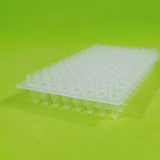 Đĩa PCR 0.2ml, 96 giếng