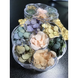 Hoa Khô -  Hoa Lụa Ẩn Gel Ẩn Bột Trang Trí Móng Làm Nail - Trang trí