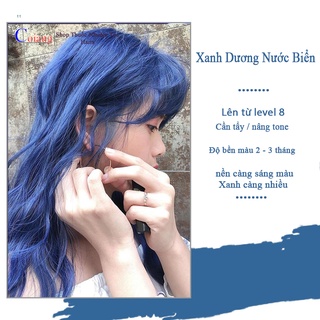 Thuốc nhuộm tóc sử dụng tại nhà MÀU XANH DƯƠNG không tẩy sử dụng tại nhà nhiều thảo dược giá rẻ
