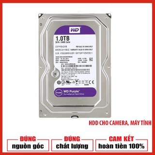 Ổ CỨNG HDD 1TB TÍM CHUYÊN DỤNG CAMERA