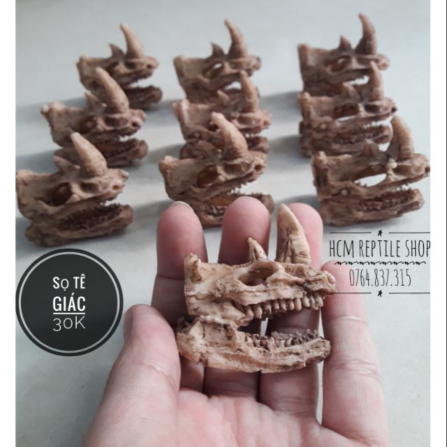 Sọ tê giác trang trí