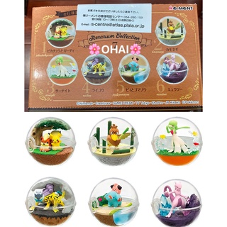 Mô hình Pokemon Terrarium Collection 7 CHÍNH HÃNG Rement