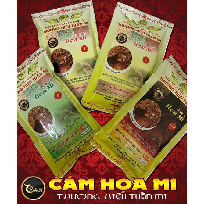 CÁM MI SỐ 2