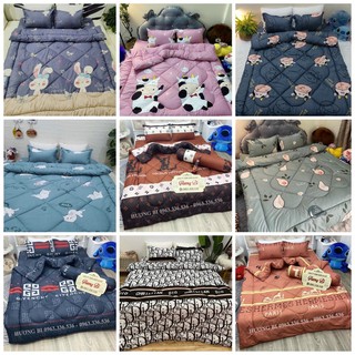 Set Chăn phao ga gối cotton poly 5 món. Được chọn mẫu.