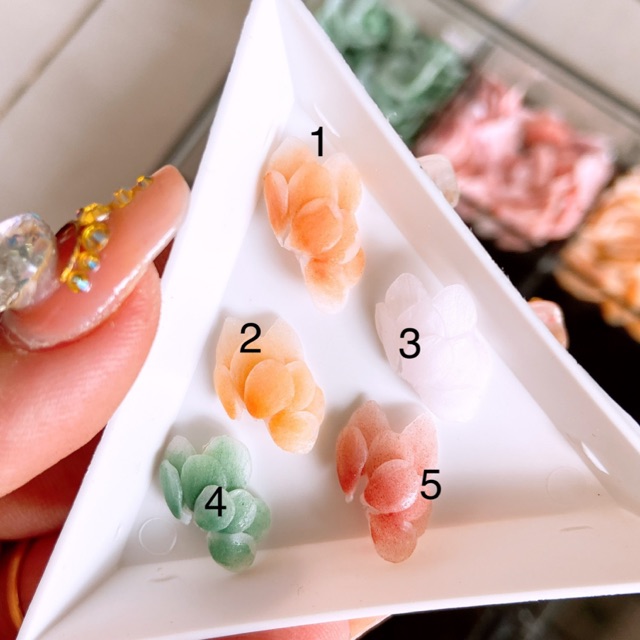 Hoa bột nail