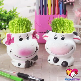 Đầu búp bê cao bồi dễ thương