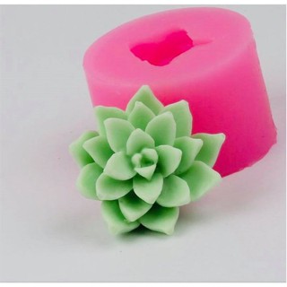 Khuôn Silicone Xương Rồng Sen Đá Đất 4.6 Cm