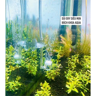 Đĩa sủi ngắn Acrylic mịn (2cm-4cm-6cm)